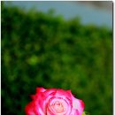 춘의역 (5번 출구) 이미지