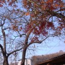 구성도서관 이미지