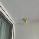 임광그대가1단지경로당 | 화성 봉담 임광그대가1단지에서 경험한 깔끔한 진솔탄성줄눈 시공