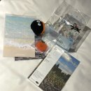 12월의 제주 day1| 성산코스 :: 함덕해수욕장 / 온더스톤브런치카페 / 성산일출봉 / 섭지코지 / 제주...