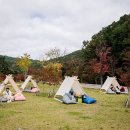 김밥도시 이미지