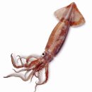 반포역 이미지