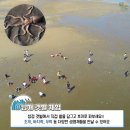 갱번마루 이미지