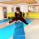 십정 정무태권도장 이미지