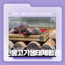 진짜고기다 | 울진 진짜 저렴한 아쿠아리움! - 민물고기생태체험관 후기!