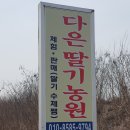 대구 근교 딸기체험, 고령 &#34;다은딸기농원&#34; 방문 후기