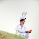 세훈세차