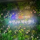 부평남부체육센터 헬스 일일입장 후기! 주차,셔틀버스,샤워실,튼튼머니 이용 총정리