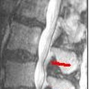 삼삼한의원 이미지