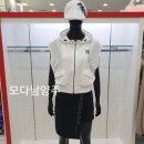 엠티브이19로 이미지