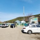 시흥승마힐링체험장 이미지