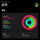바쵸