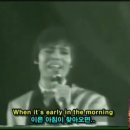 Early in the morning (Cliff Richard in Korea 1969 year 클리프 리차드 내한공연 ) 이미지