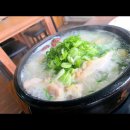 삼계탕이 맛있는 제주 칼국수 맛집? 노형칼국수토종닭