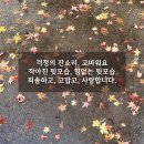 청개구리님 이미지