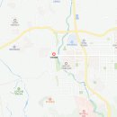 아라댕댕 네이버블로그