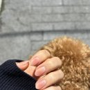 마메네일 이미지