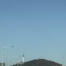 안현로서1길 | 예비쀼 웨딩링맞추고 왔어요 가성비맛집 종로 조이아쥬얼리(효성주얼리시티점) 안보면 후회할껄요...