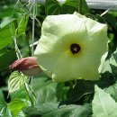 학산아래쉼터 이미지