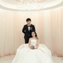 더노아하우스 이미지