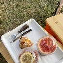 황룡강 생태공원(옥외1) | [장성] 장성 황룡강 해바라기꽃, 코스모스, kafe52, 광주 유스퀘어, 왕뼈사랑, 풍암호수공원