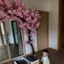 강릉료칸소돌향호 이미지