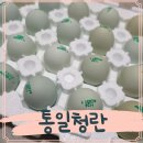 우프동물농장 이미지