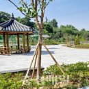 괴산군생활체육공원 이미지