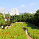 흥부네쉼터 이미지