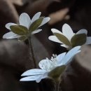 청계중앙공원 2 이미지