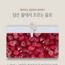 싱싱채소과일