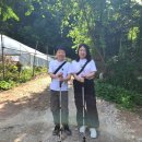 상동리 | 포천 여행 : 주금산 등산 후 홀스킹덤 글램핑 캠핑장 1박
