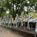 구미시청 이미지