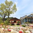 소금강여울목 이미지