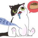 버거앤프라이즈 Burger&Friez 이미지