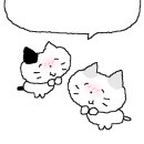스튜디오이에스씨 이미지