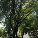 웃말공원 화장실 이미지