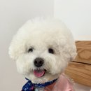 슬로우모스테디커피