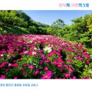 작약정원