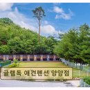 남양양IC - 1788 | <양양 펜션 추천> 글램독 애견펜션 양양점 강아지와 함께 청결·친절 최고