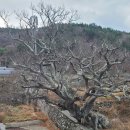 이목산전경로당 이미지