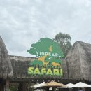 여유로운 | 푸꾸옥 빈펄 사파리 VIP 투어 오픈런 안해도 여유로운 내돈내산 후기