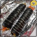 덕정김밥
