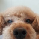 제이그루밍 이미지