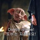 수국칼국수 이미지