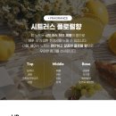 일진애드 이미지
