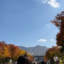 은행어린이공원 | 서울대공원 리프트 동물원 패키지 데이트 가을 단풍 은행 실시간 후기