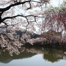 연지공원1 이미지