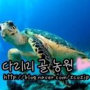 다리미골농원