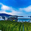 청계산수변공원 이미지